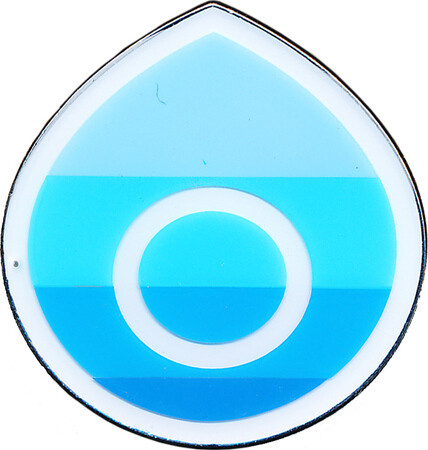 Champion&#39;s Path Hulbury Gym Badge Collector&#39;s Pin