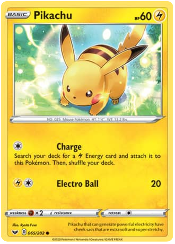 Pikachu 65/202