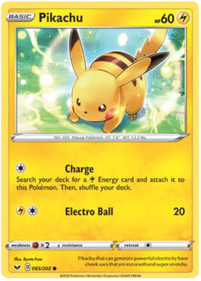 Pikachu 65/202