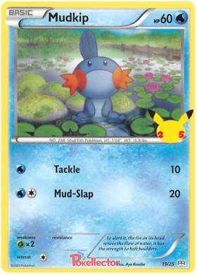 Mudkip 19/25