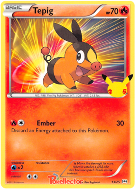 Tepig 13/25