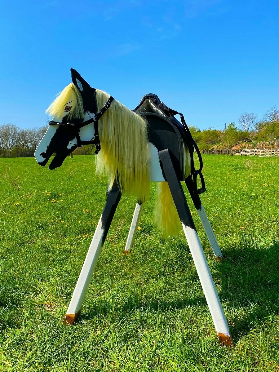 "Lucky" A - blonde Mähne, schwarzer Sattel und Halfter