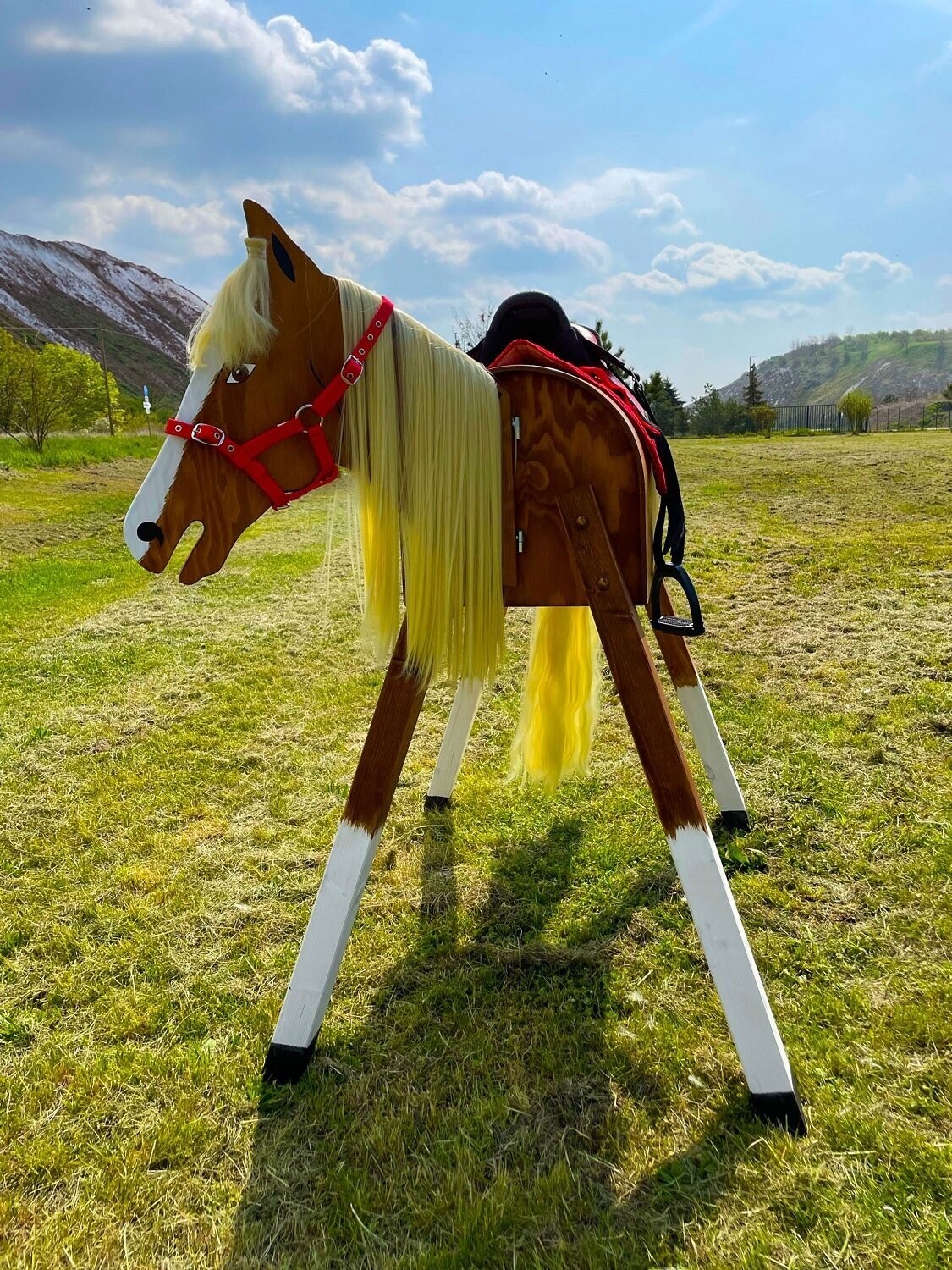 "César" C -  blonde Mähne, roter Sattel und Halfter