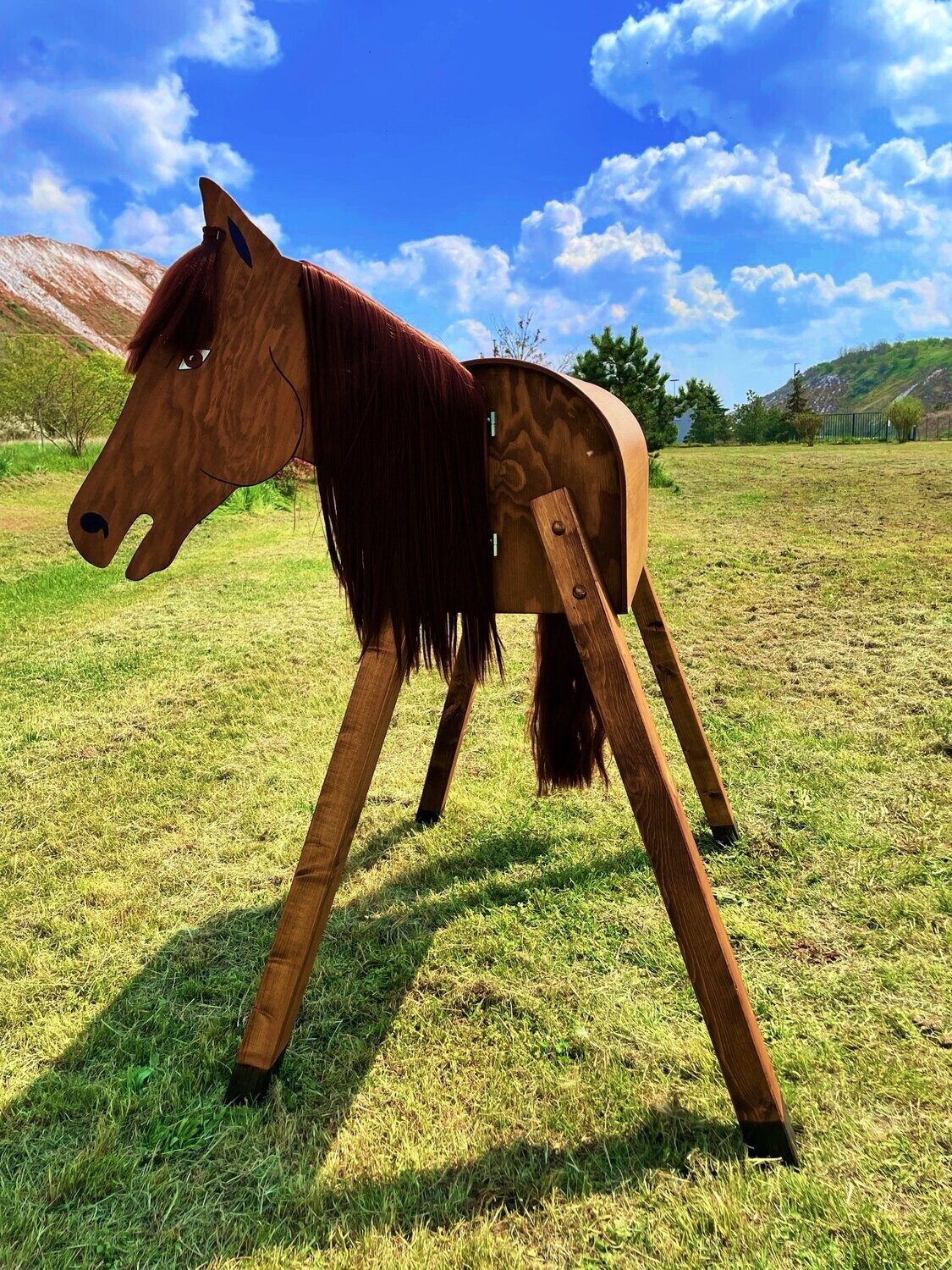 "Texas"  C - braune  Mähne
