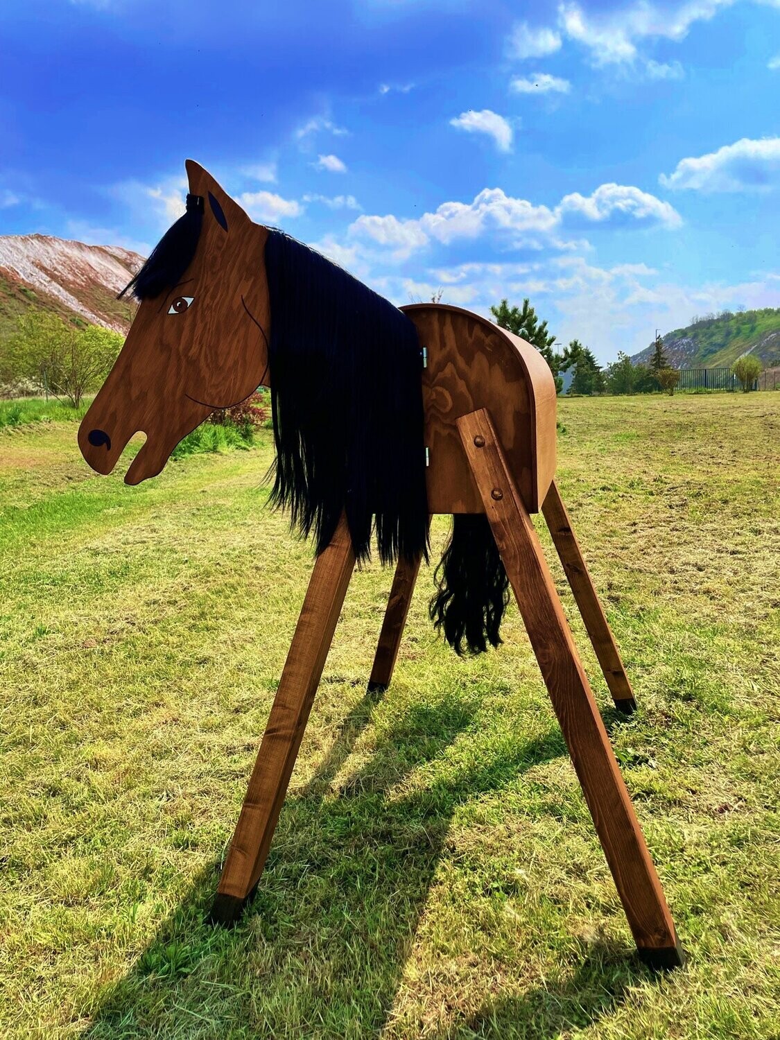 "Texas"  C - schwarze  Mähne