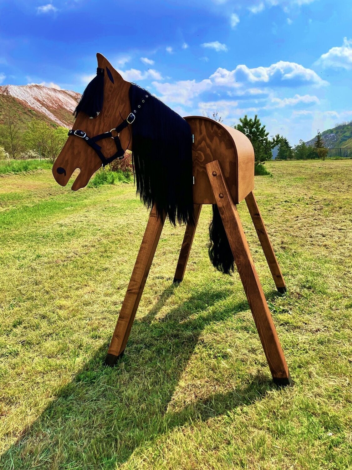 "Texas"  C - schwarze  Mähne und Halfter schwarz