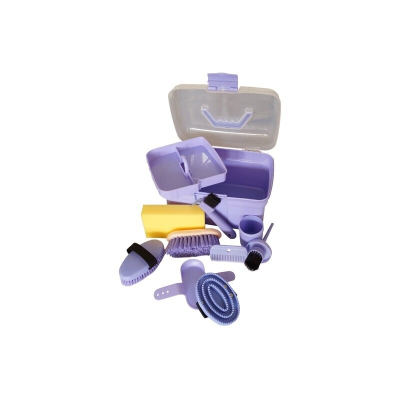 Putzbox in lila