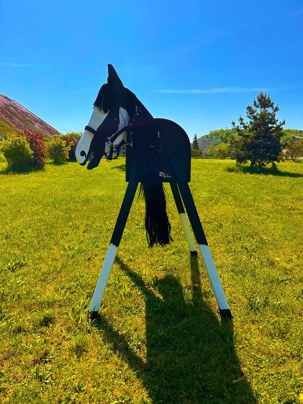 "Lucky" B - schwarze Mähne und Halfter schwarz