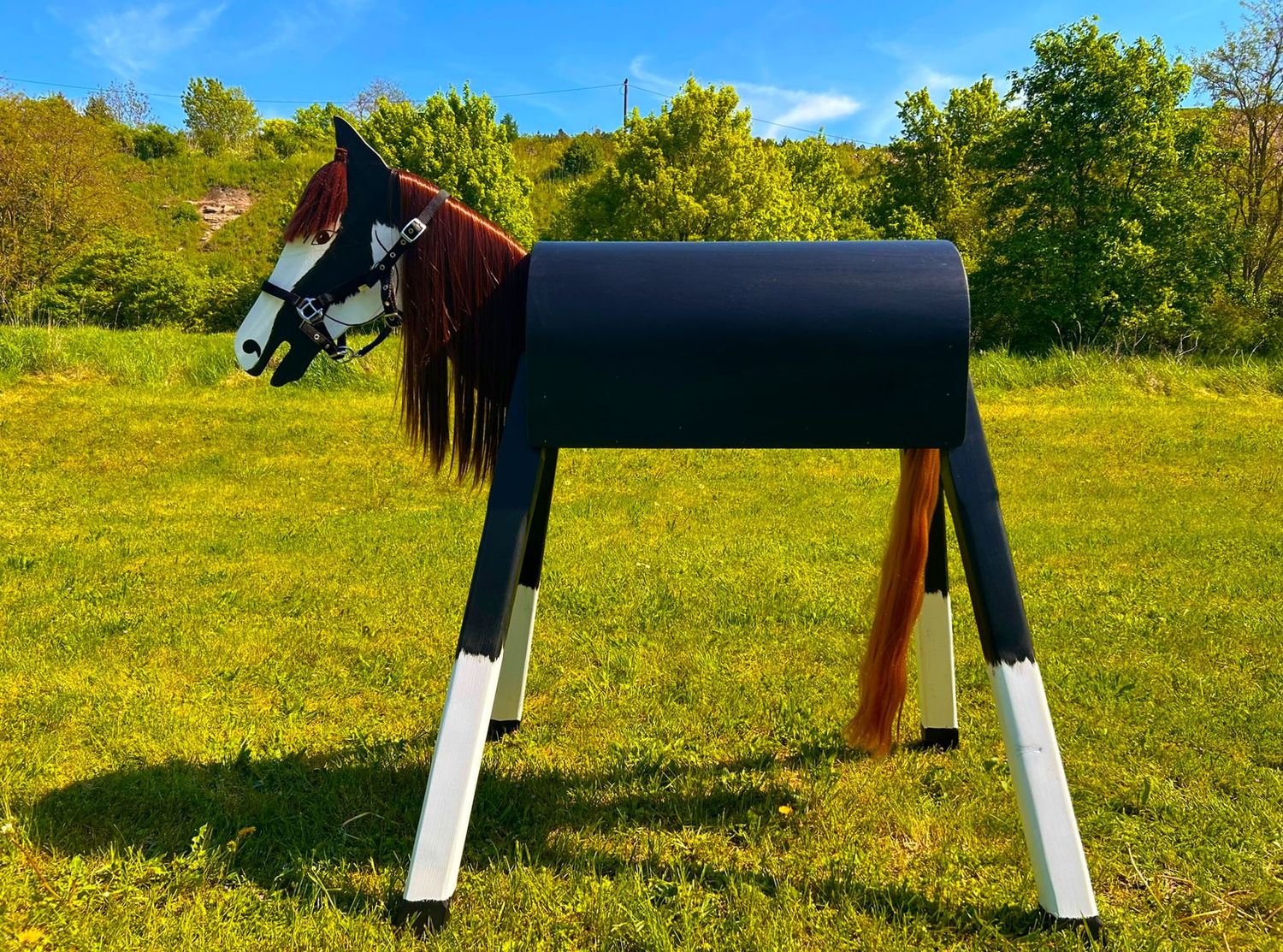 "Lucky" B - braune  Mähne und Halfter schwarz