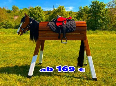 Unsere OUTDOOR-Pferde