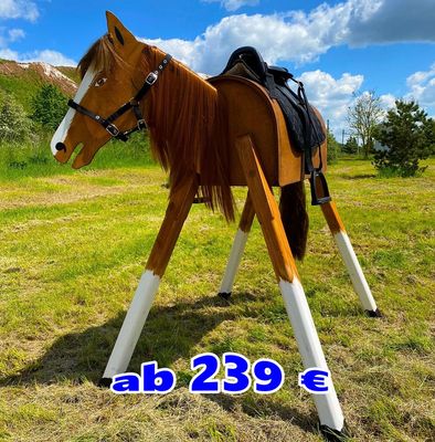 Unsere INDOOR-Pferde