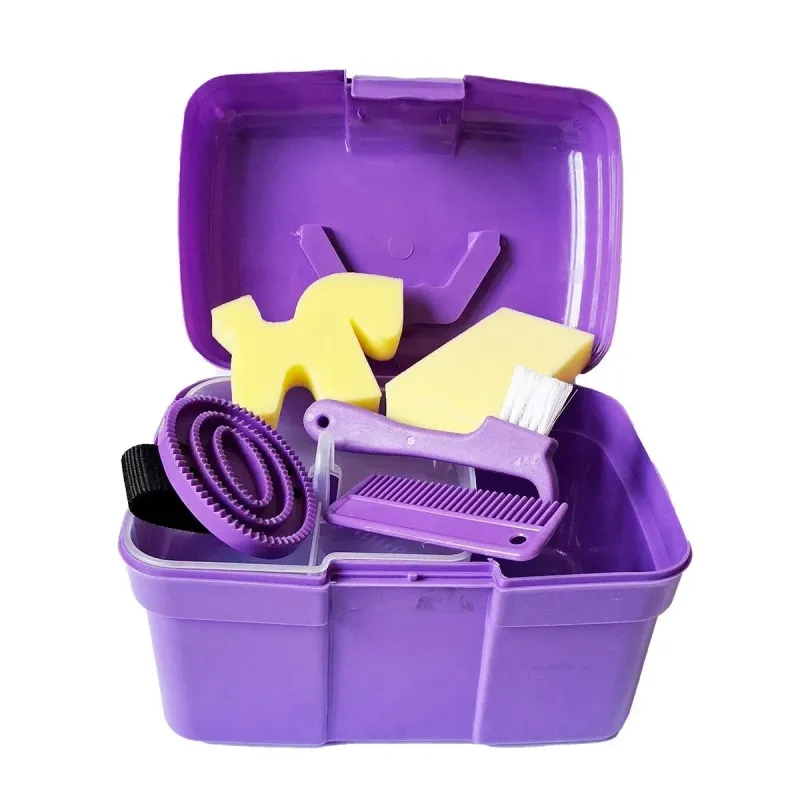 Lila Putzbox mit 5-teiligem Putzset für Holzpferde und Kinder