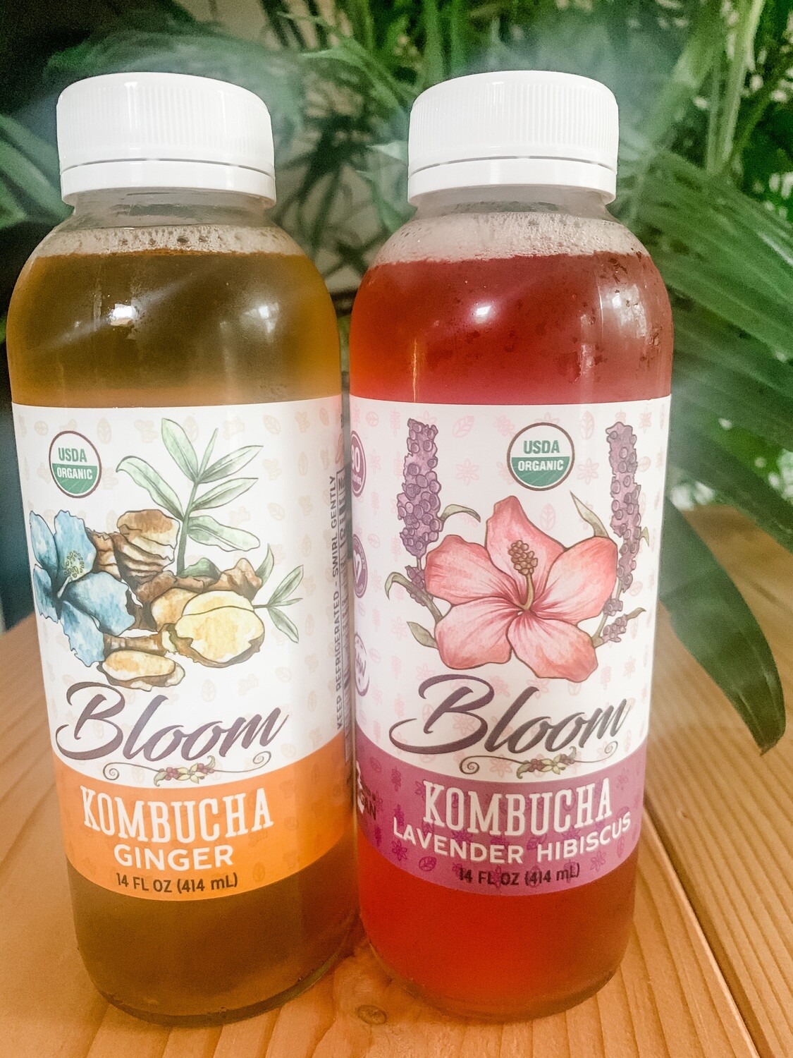 Kombucha - Bloom