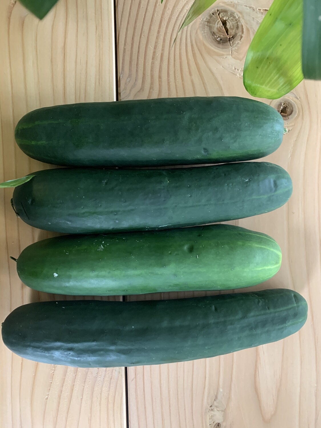 Cucumbers - ea