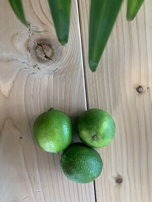 Limes - ea