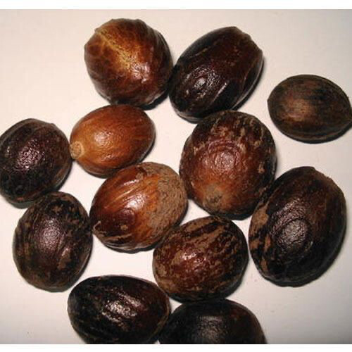 Nutmeg 