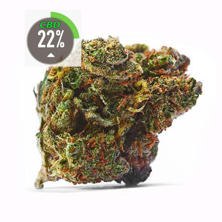 STRAWBERRY KUSH (CBD)