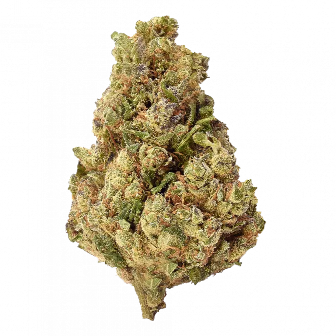 Gelato (CBD)