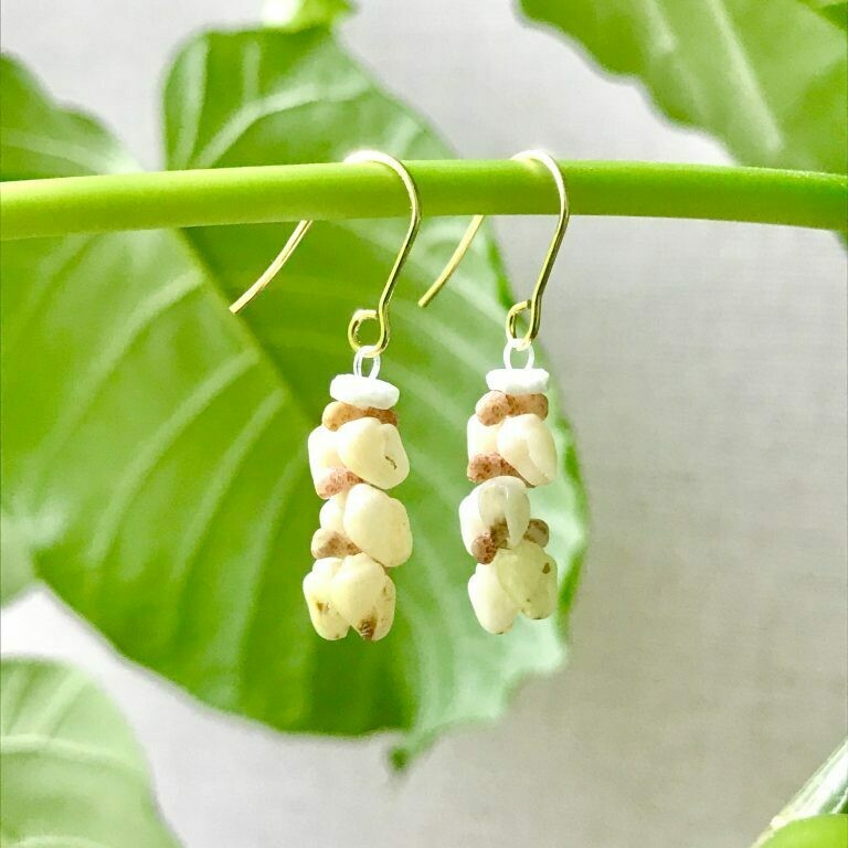 KauaiニイハウシェルWS【Bタイプ：ヘリコニア3段】