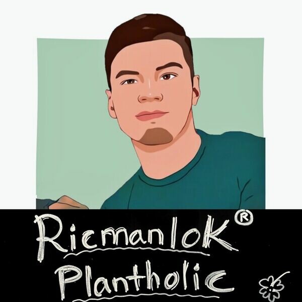 Ricmanlok’s Plantholic