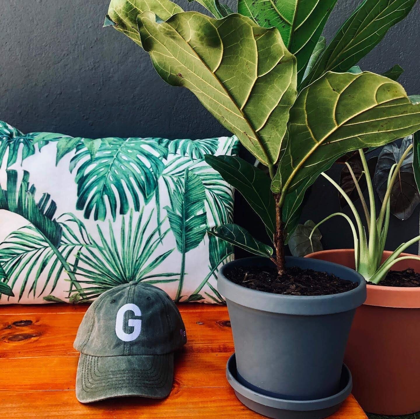 Olive Gent. Washed Cap