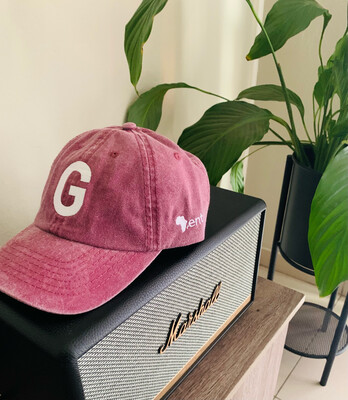 Bassi Gent. Washed Cap