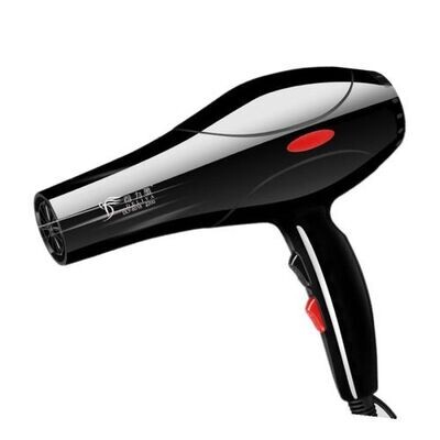Deliya Hair Blow Dryer 2200W Hair Dryer+6 Gifts