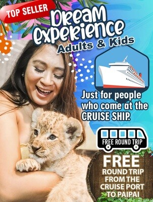 Dream Experience + Free Round Trip Dream Experience + Free Round Trip