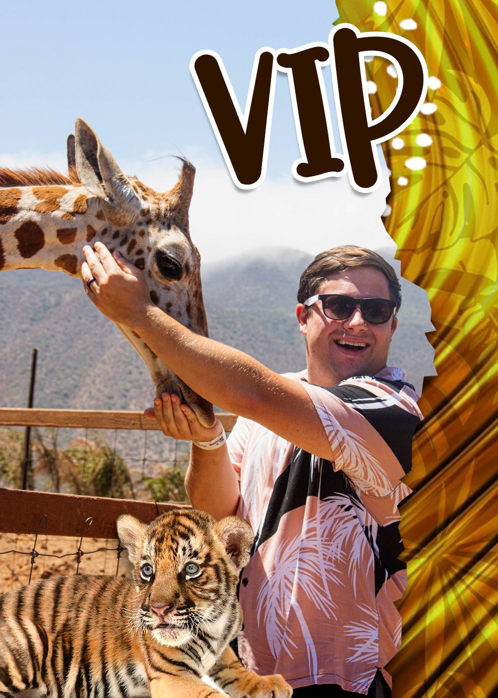 VIP