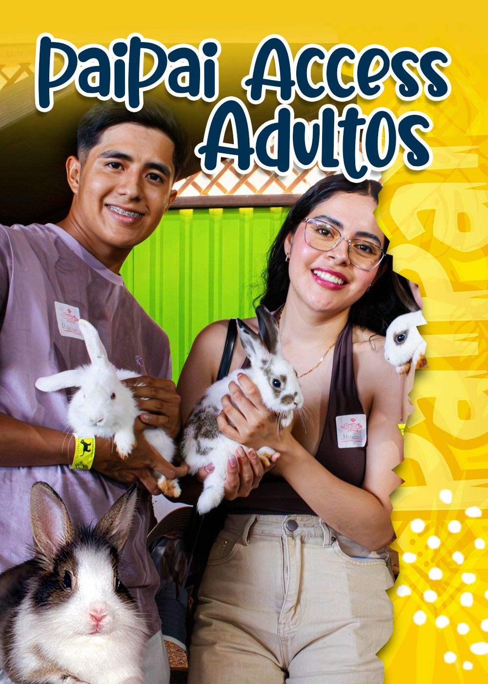 Paipai Access Adulto