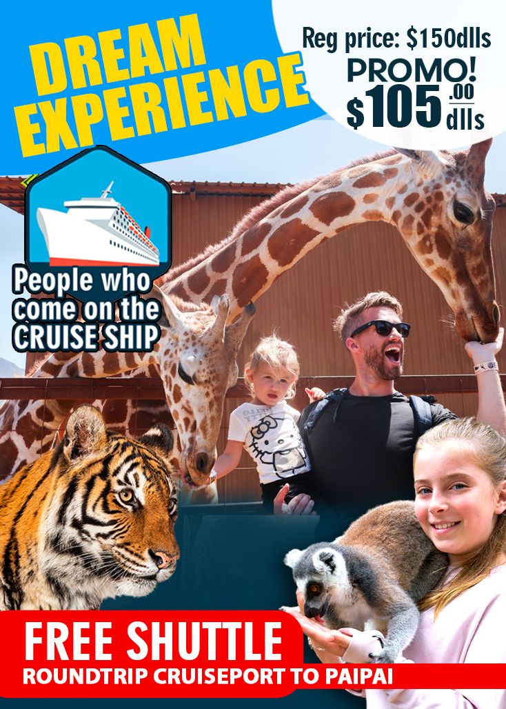 Dream Experience + Free Shuttle