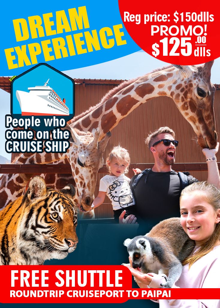 Dream Experience + Free Shuttle