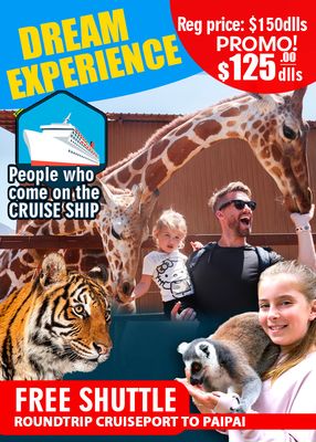 Dream Experience + Free Shuttle