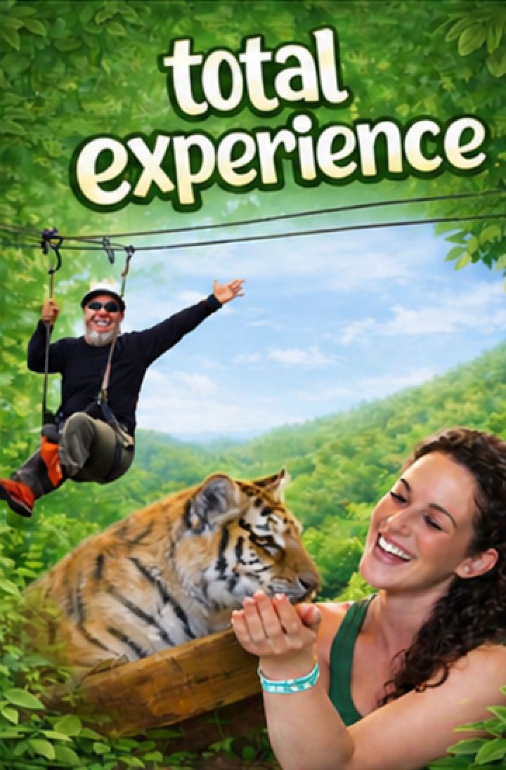 Total Experience
