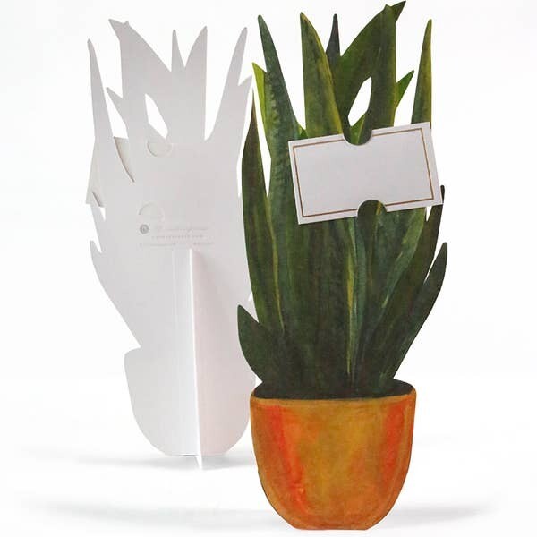 Thimblepress Snake Plant Florever Card