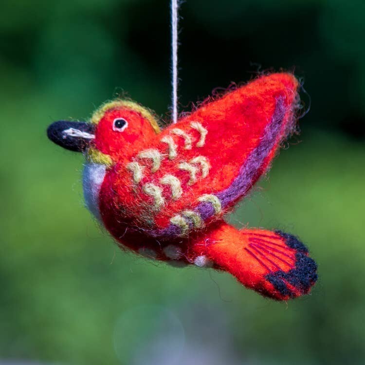 Rufous Hummingbird Woolie Bird
