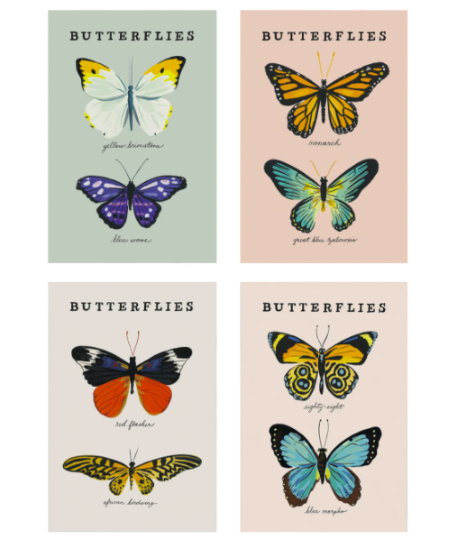 Butterfly Postcards - Set of 8