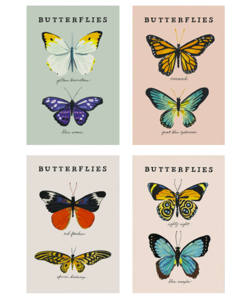 Idlewild Butterfly Postcards - Set of 8