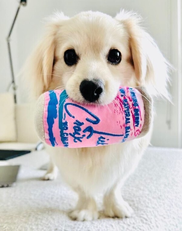 Haute Diggity Dog Beverage Can Squeaker Toys 