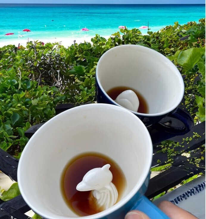 Creature Cups