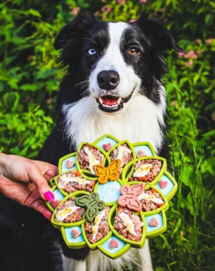 SodaPup Mandala Food Enrichment Tray