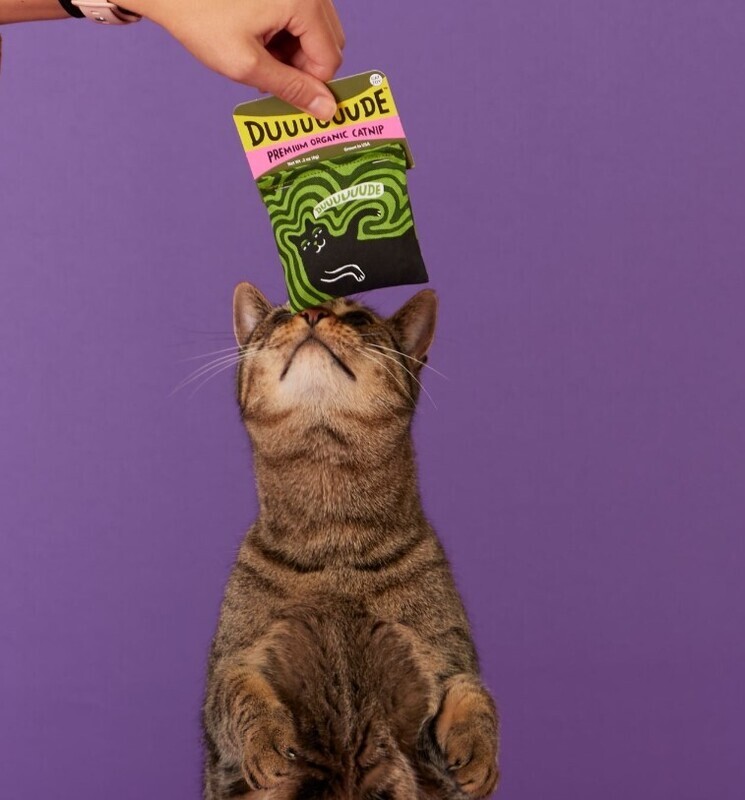 Blue Q Organic Catnip Toys
