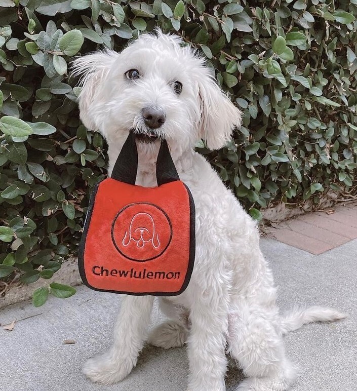 Haute Diggity Dog Designer Handbag Squeaker Toys