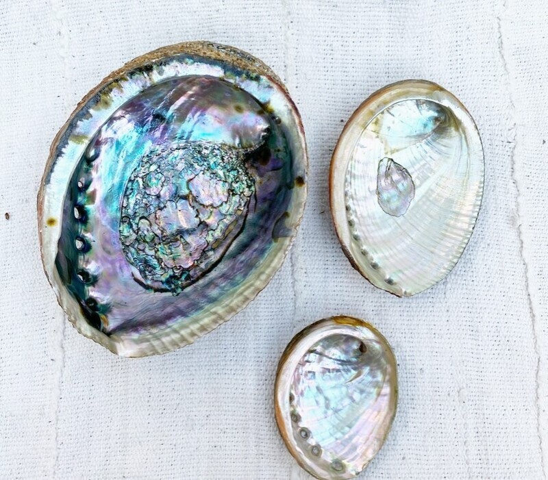 Pour Vida Mama Earth Abalone Shell