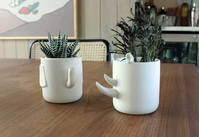 Creature Cups Wander Pots - Safari Set