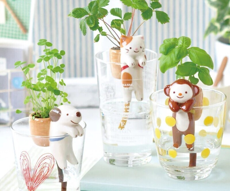 Noted Shippon Plant Cultivation Kit