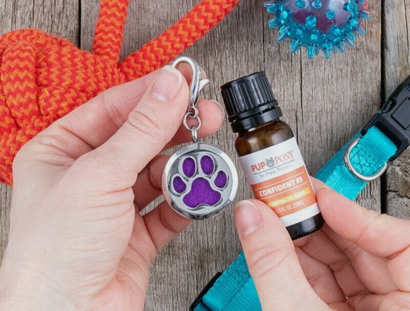 Plant Therapy Paw Pal Diffuser Aromatherapy Oil Diffuser Pet Tag