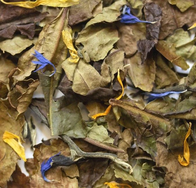 Celestial Moon Loose Leaf