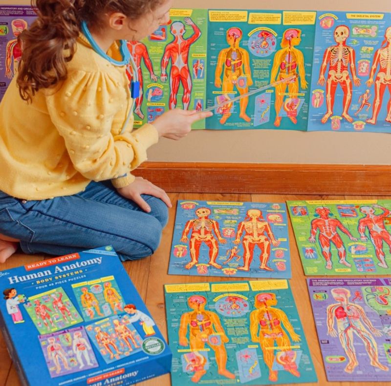 Eeboo Ready-To-Learn - Human Anatomy Puzzles
