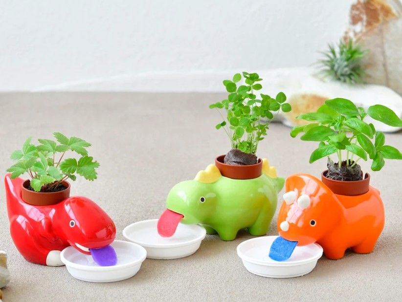 Noted Zaurus Dinosaur Plant Cultivation Kit